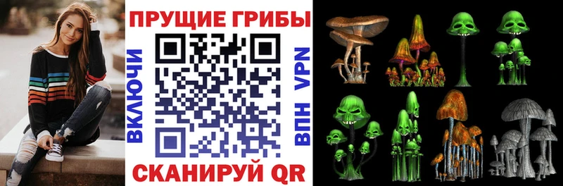 MEGA как войти Цоци-Юрт Галлюциногенные грибы Cubensis купить закладку