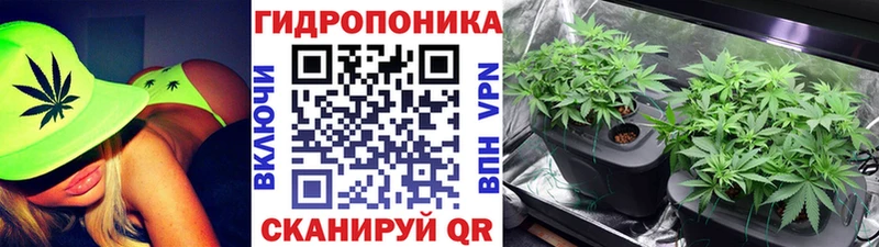 Бошки Шишки семена  хочу   mega ССЫЛКА  Цоци-Юрт 